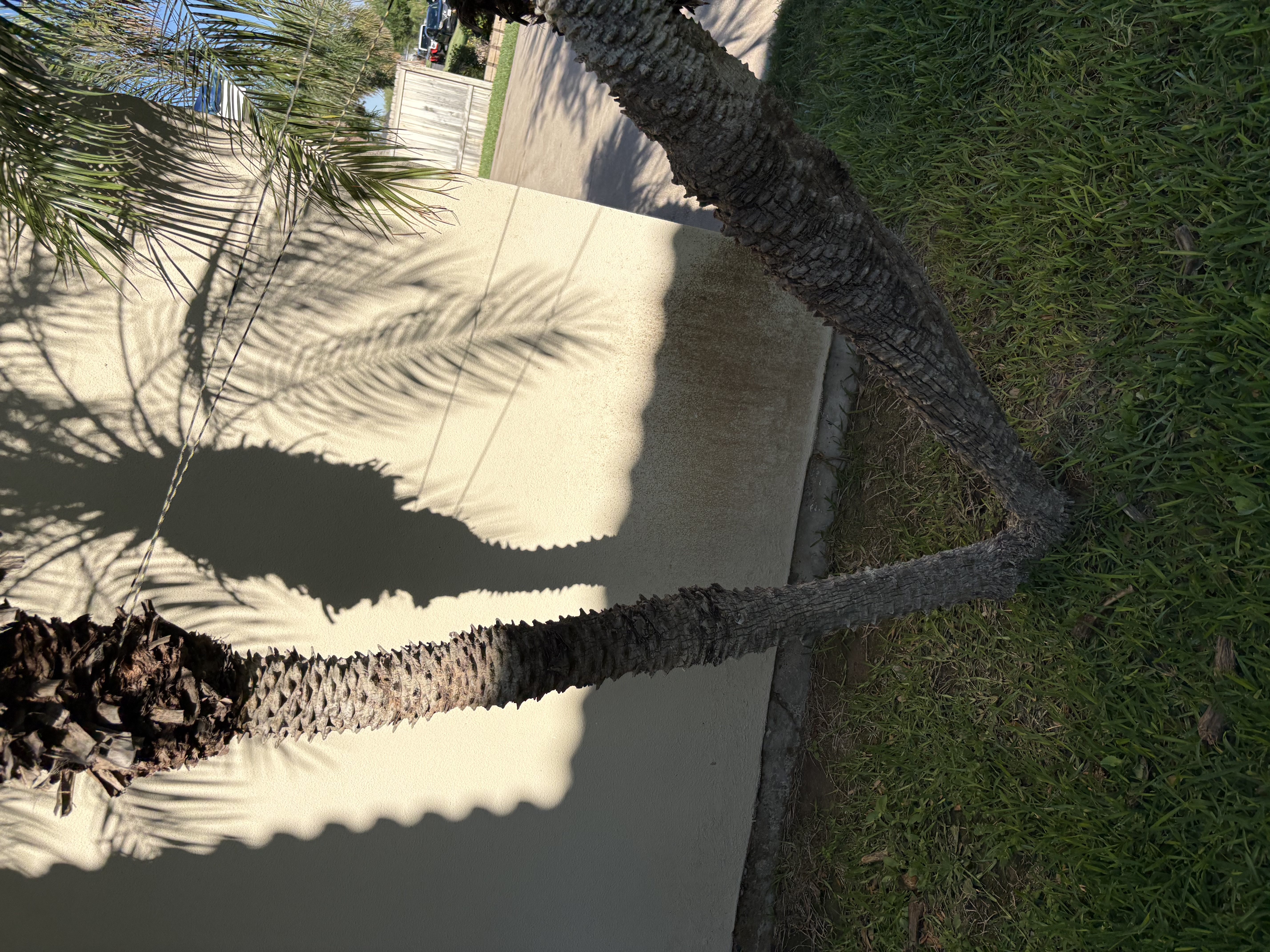 Property before pressure washing