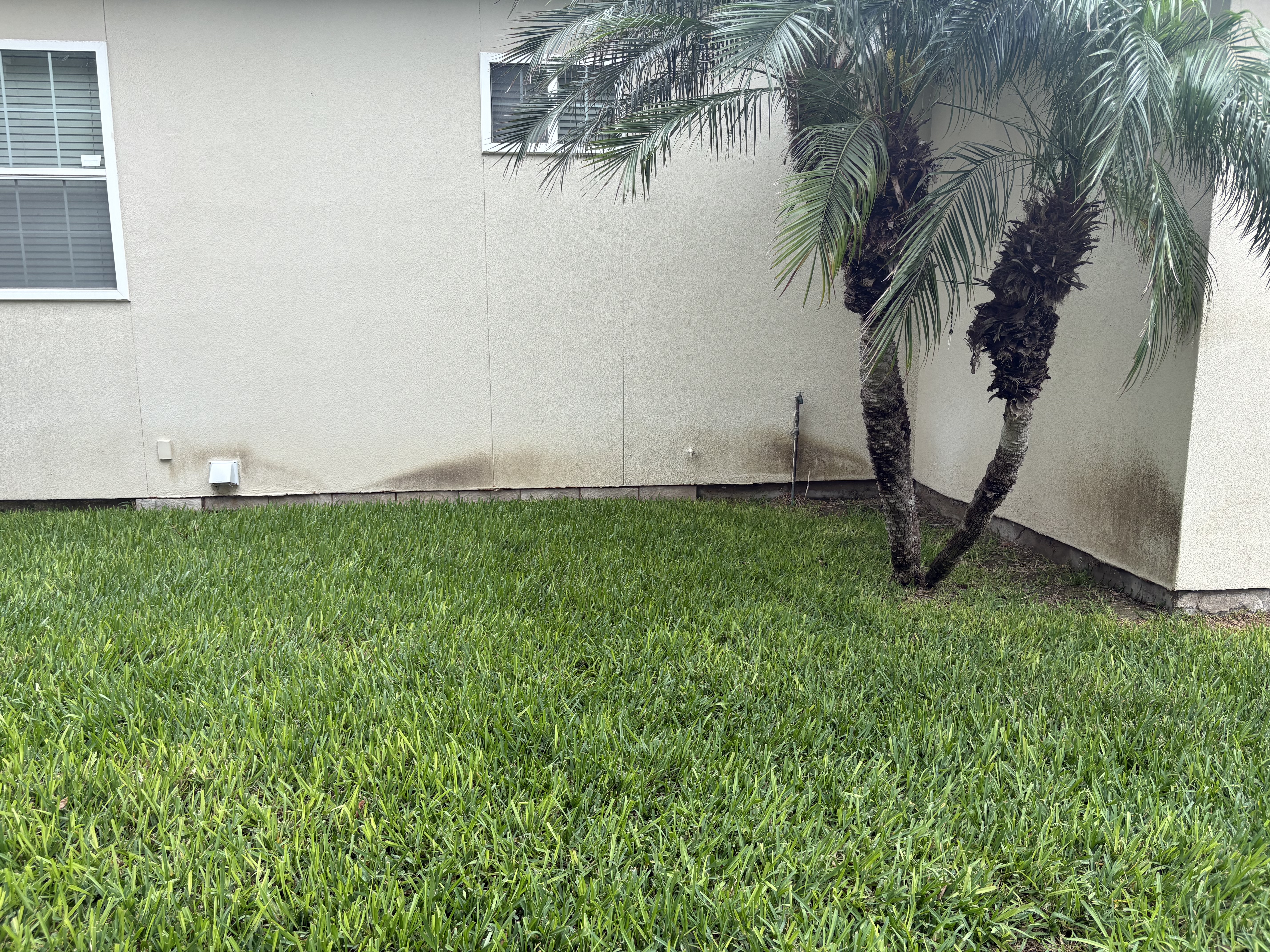 Property before pressure washing