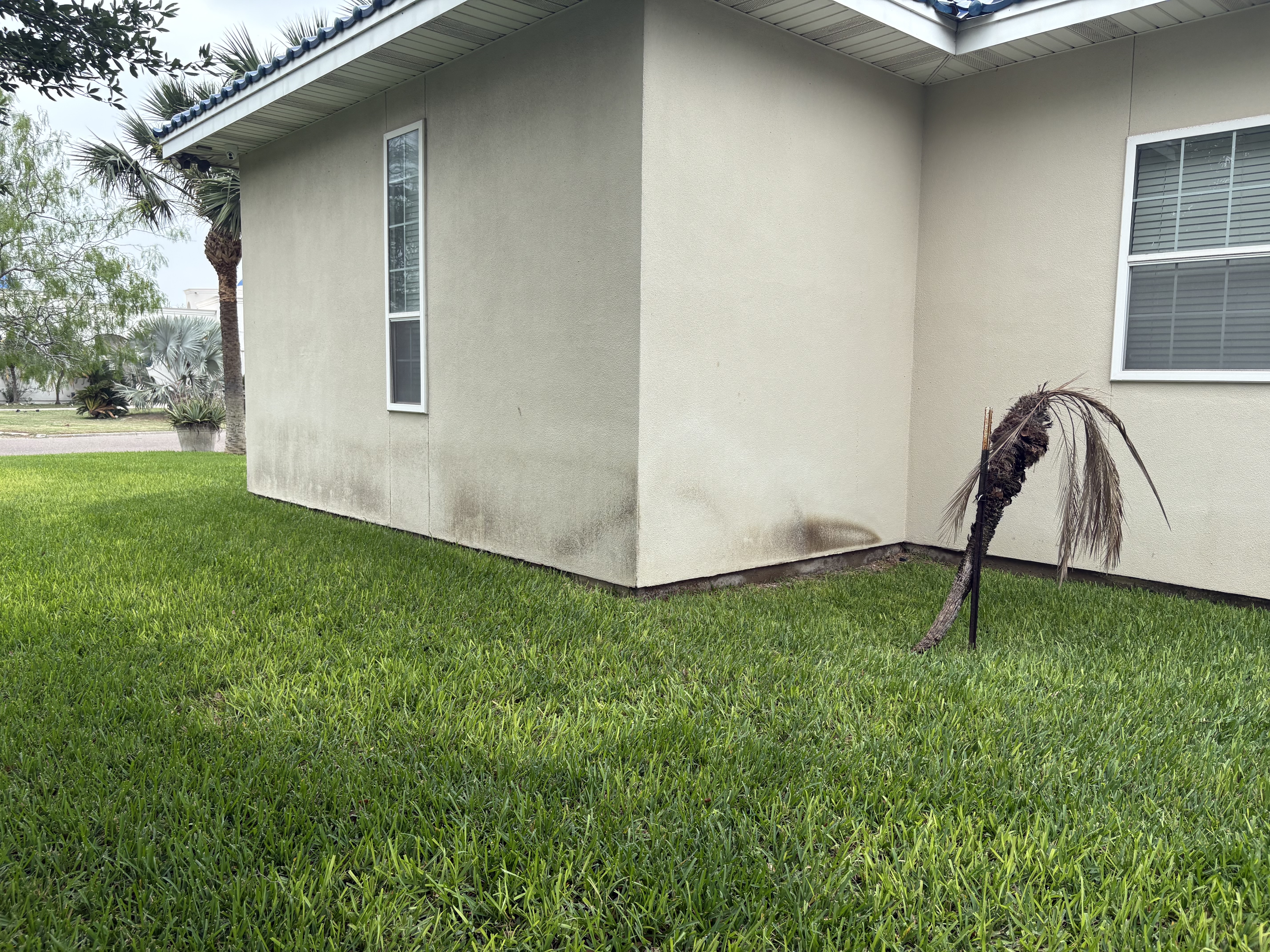 Property before pressure washing