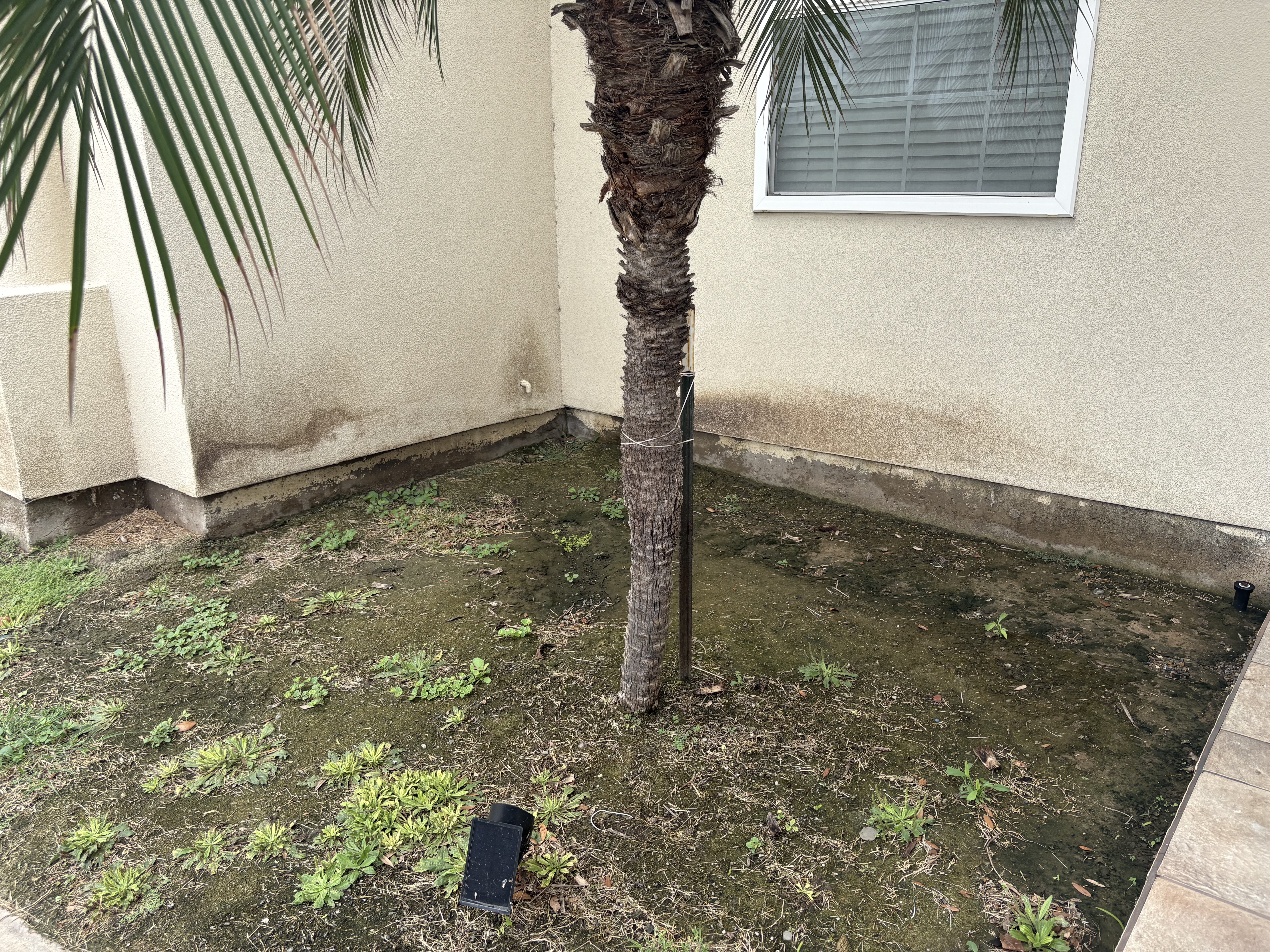 Property before pressure washing