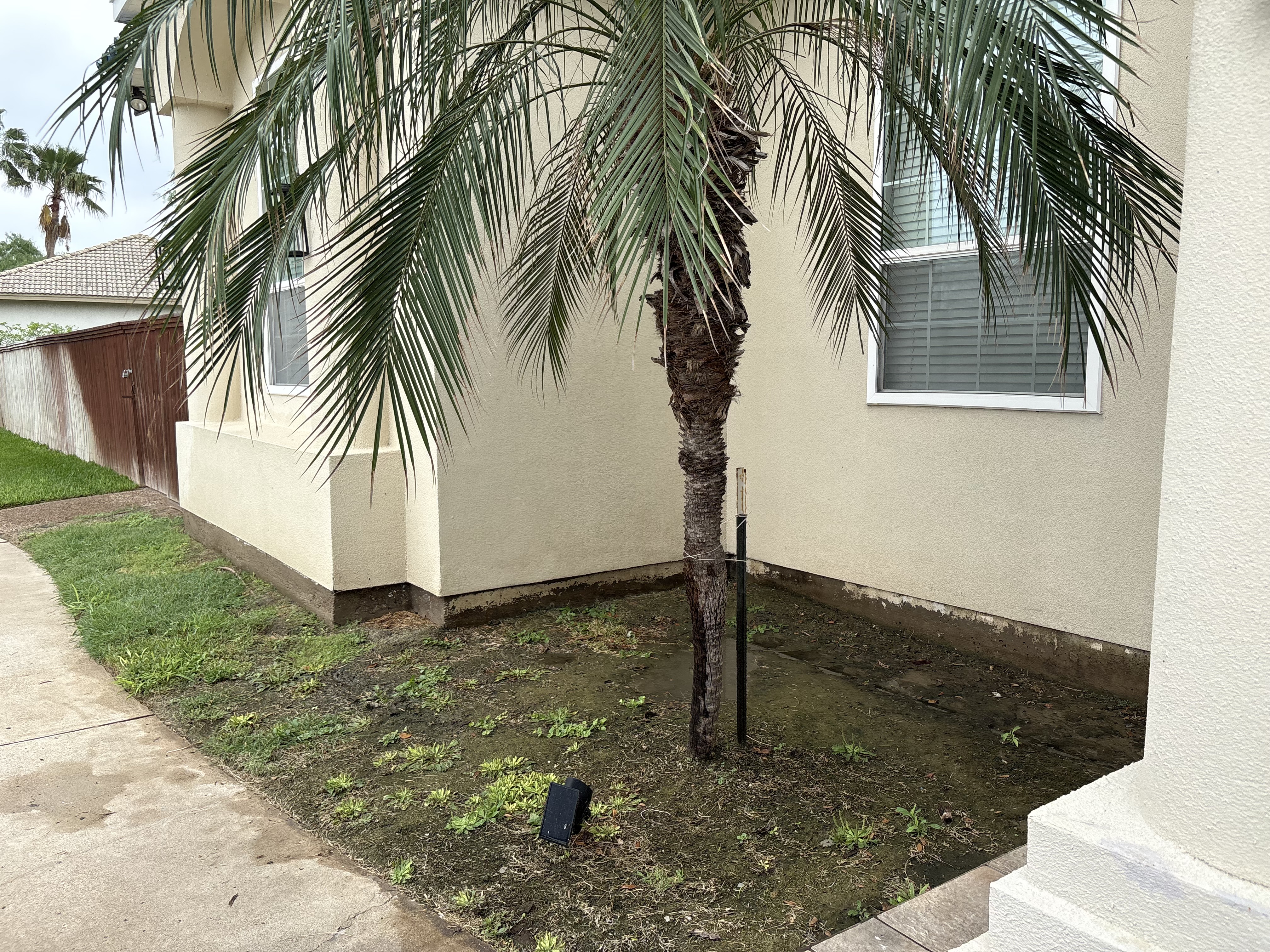 Property after pressure washing