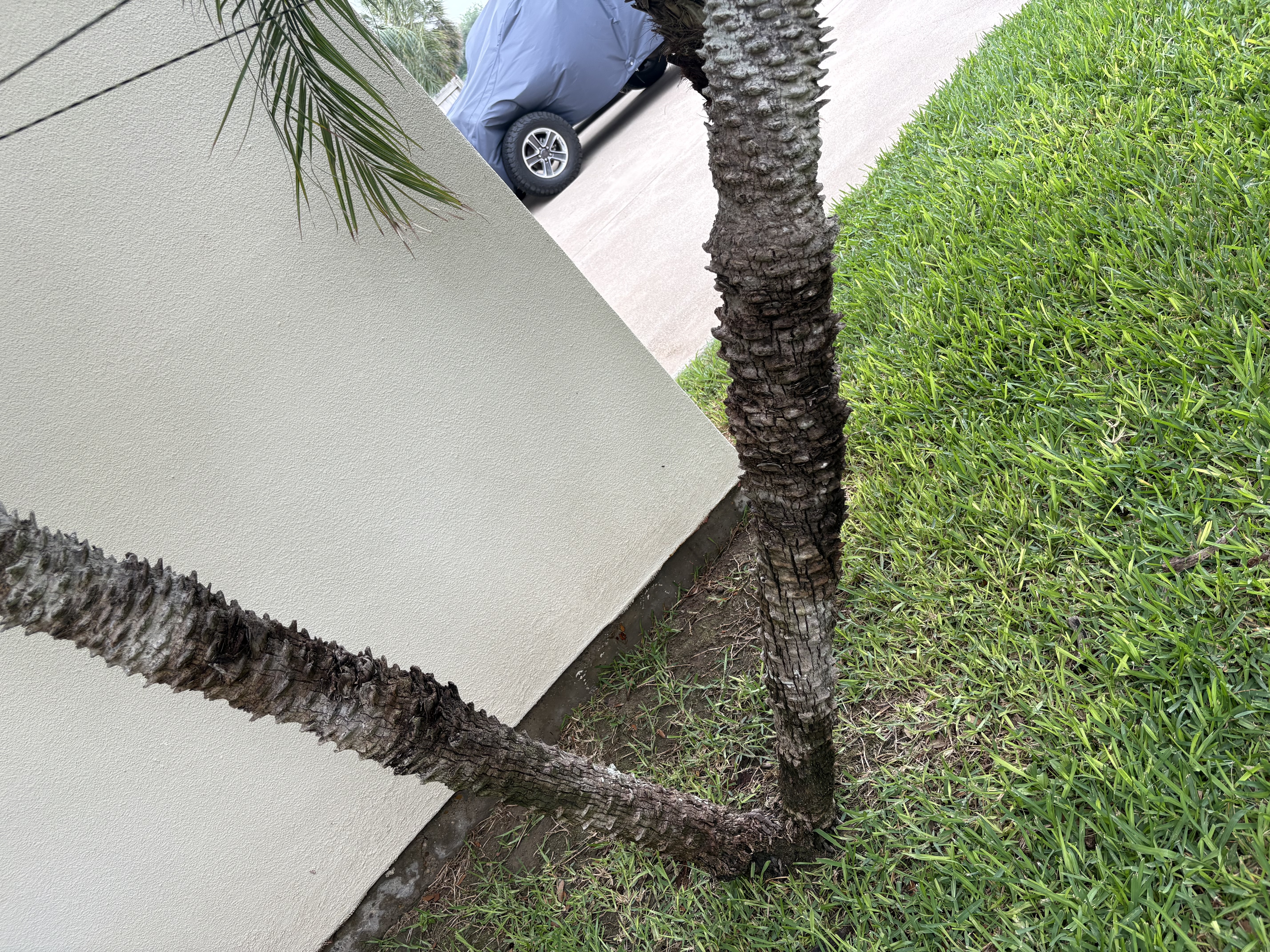 Property after pressure washing